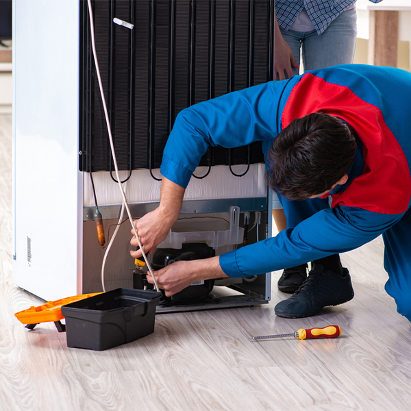 what are the common refrigerator repair services in Dennison MN